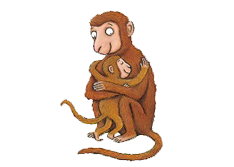 Monkey Puzzle