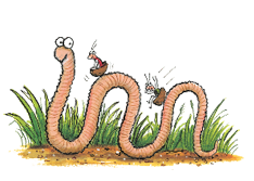 Superworm